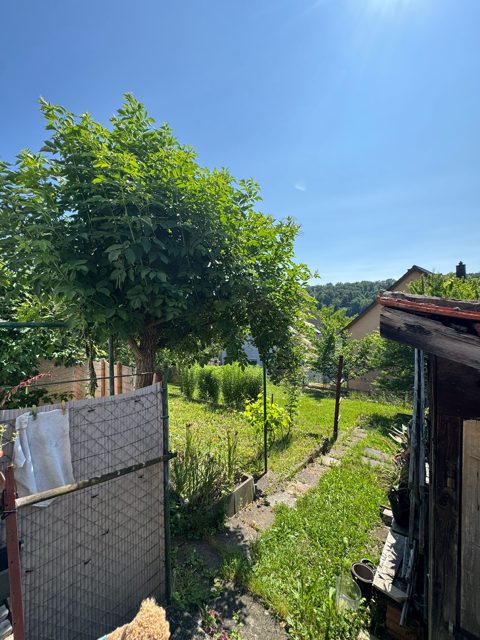 Gartenweg mit Blick ins Grüne