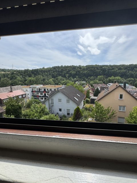 Blick aus dem Fenster über Neckarrems ins Grüne